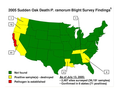 2005 Sudden Oak Death Findings