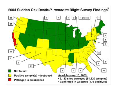 2004 Sudden Oak Death Findings